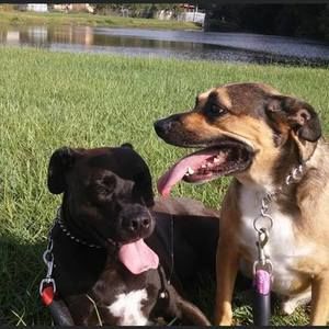 Meet your Posher, Mónica t